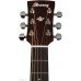 ЭЛЕКТРОАКУСТИЧЕСКАЯ ГИТАРА IBANEZ AW54CE-OPN