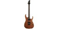 ЭЛЕКТРОГИТАРА IBANEZ RG421 MOL