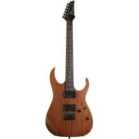 ЭЛЕКТРОГИТАРА IBANEZ RG421 MOL