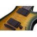 Электрогитара SCHECTER HELLRAISER C-7 P DGB