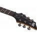 Электрогитара SCHECTER SGR 006 WSN