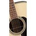 Акустическая гитара TAKAMINE G50 SERIES GD51-NAT