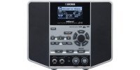 ДЖЕМ СТАНЦИЯ BOSS eBand JS-10
