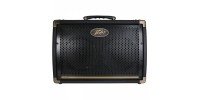 Комбоусилитель Peavey Ecoustic E208