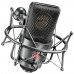 Микрофон NEUMANN TLM 103 MT Mono set