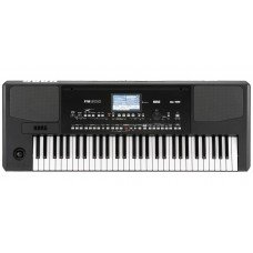 РАБОЧАЯ СТАНЦИЯ KORG PA300