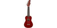 Укулеле FENDER UKULELE VENICE CHERRY